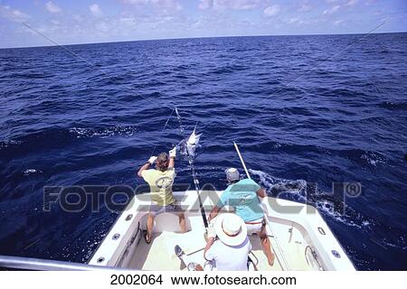 Picture - Australia, Great Barrier Reef, Black Marlin With Angler And Crew. Fotosearch