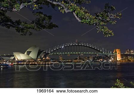 Australia, Sydney, View Of The Harbor Bridge And Opera House, Foliage In Foreground. View Large Photo Image Picture - Australia, Sydney, View Of The Harbor Bridge And Opera House, Foliage In Foreground.. Fotosearch