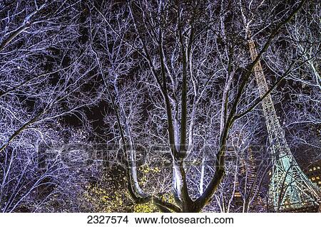 Australia, Victoria, Bare tree in front of Melbourne Arts centre; Melbourne View Large Photo Image Picture - Australia, Victoria, Bare tree in front of Melbourne Arts centre; Melbourne. Fotosearch