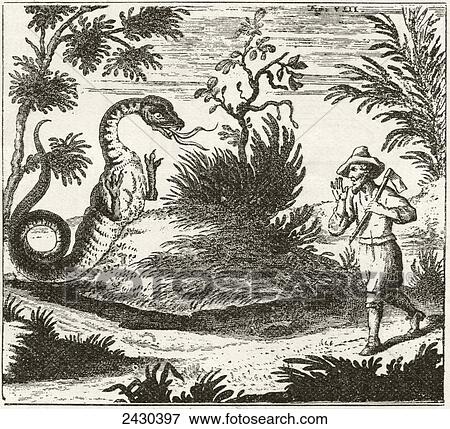 Author-explorer Schenchzer meeting a dragon in the Swiss Alps, after a drawing from his book Routes in the Swiss Alps, written 1702-1711. From The Strand Magazine published 1897. View Large Photo Image Stock Photo - Author-explorer Schenchzer meeting a dragon in the Swiss Alps, after a drawing from his book Routes in the Swiss Alps, written 1702-1711. From The Strand Magazine published 1897.. Fotosearch