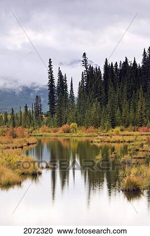 Autumn Colours Of Vermilion Lakes, Banff National Park, Alberta, Canada View Large Photo Image Stock Image - Autumn Colours Of Vermilion Lakes, Banff National Park, Alberta, Canada. Fotosearch