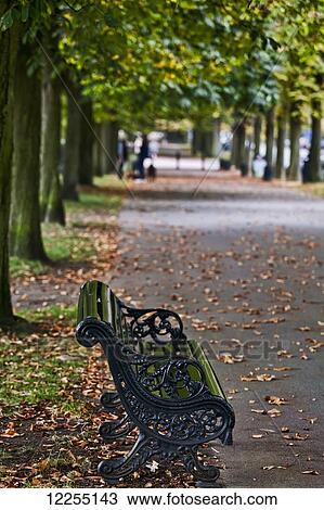 Stock Image - Autumn in Greenwich Park; London, England. Fotosearch