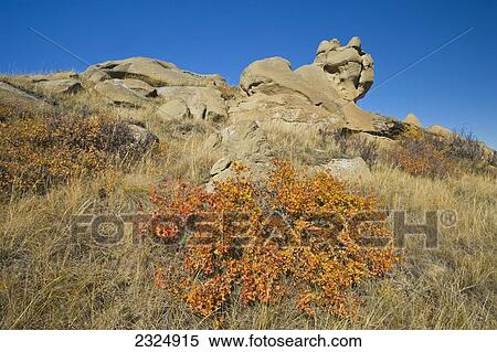 Stock Photography - Autumn in Killdeer Badlands of East Block in Grasslands National Park; Saskatchewan, Canada. Fotosearch
