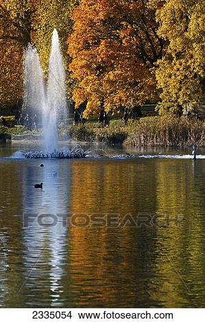 Picture - Autumn In St James's Park; London, England, Uk. Fotosearch