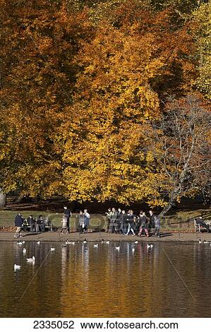 Autumn In St James's Park; London, England, Uk View Large Photo Image Stock Image - Autumn In St James's Park; London, England, Uk. Fotosearch