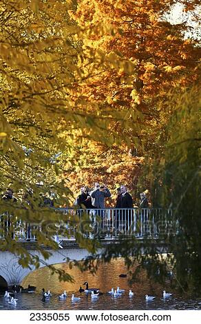Autumn In St James's Park; London, England, Uk View Large Photo Image Stock Photography - Autumn In St James's Park; London, England, Uk. Fotosearch