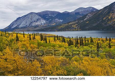 Stock Photo - Autumn scenic of Tagish Lake south of Whitehorse, Yukon Territory, Canada. Fotosearch