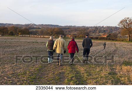 Autumn Walk Among Fields; Surrey, England, Uk View Large Photo Image Picture - Autumn Walk Among Fields; Surrey, England, Uk. Fotosearch