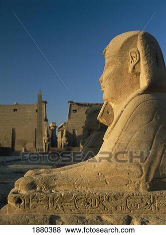 Avenue Of Sphinxes View Large Photo Image Stock Photo - Avenue Of Sphinxes. Fotosearch