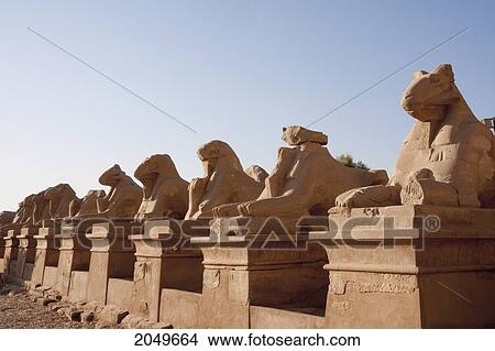 Picture - Avenue Of The Criosphinxes (Ram-Headed Sphinxes) At The Entrance Of The Great Temple Of Amun In The Karnak Temple Complex, Luxor, Qina, Egypt. Fotosearch