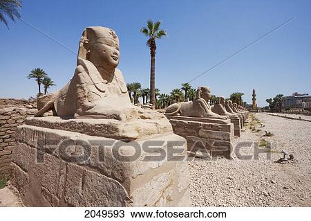 Avenue Of The Sphinxes At The Temple Of Luxor, Luxor, Qina, Egypt View Large Photo Image Stock Image - Avenue Of The Sphinxes At The Temple Of Luxor, Luxor, Qina, Egypt. Fotosearch