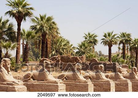 Stock Photo - Avenue Of The Sphinxes At The Temple Of Luxor, Luxor, Qina, Egypt. Fotosearch