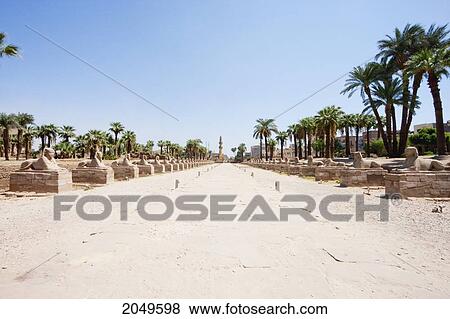 Stock Photo - Avenue Of The Sphinxes At The Temple Of Luxor, Luxor, Qina, Egypt. Fotosearch
