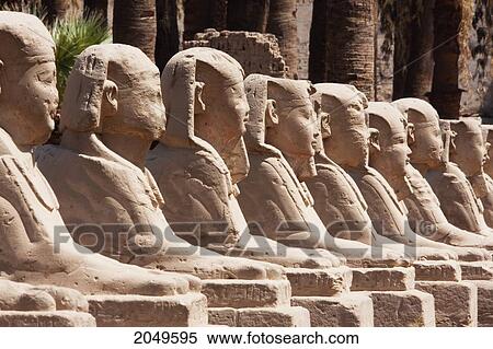 Avenue Of The Sphinxes At The Temple Of Luxor, Luxor, Qina, Egypt View Large Photo Image Stock Photography - Avenue Of The Sphinxes At The Temple Of Luxor, Luxor, Qina, Egypt. Fotosearch