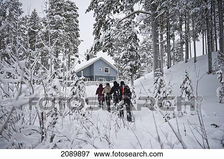 Stock Photo - Back View Of Tourists Snowshoeing In Levi, Lapland, Finland. Fotosearch
