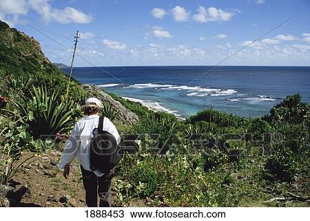 Backpacker Walking By Cactus Along The Coast View Large Photo Image Stock Image - Backpacker Walking By Cactus Along The Coast. Fotosearch