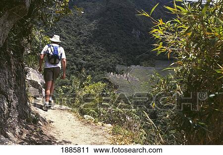 Backpacker Walking On The Inca Trail View Large Photo Image Stock Image - Backpacker Walking On The Inca Trail. Fotosearch
