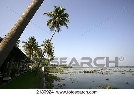 Picture - Backwaters; Kerala, India. Fotosearch