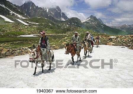 Stock Photo - Bakarwal Gujjar Men Ride Their Ponies To Work; Kashmir India. Fotosearch