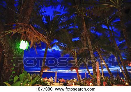 Stock Image - Balabag, Aklan, Philippines; A Restaurant And Palm Trees Illuminated At Night On The Beach Along The Water. Fotosearch