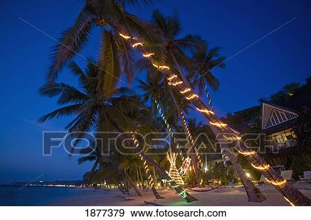 Stock Photo - Balabag, Aklan, Philippines; Lights On Palm Trees On The Beach. Fotosearch
