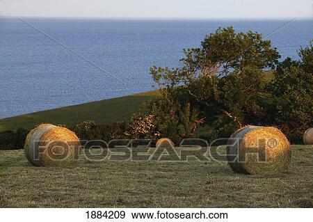 Bales Of Hay In The Setting Sun On The Cornish Coast View Large Photo Image Stock Photo - Bales Of Hay In The Setting Sun On The Cornish Coast. Fotosearch
