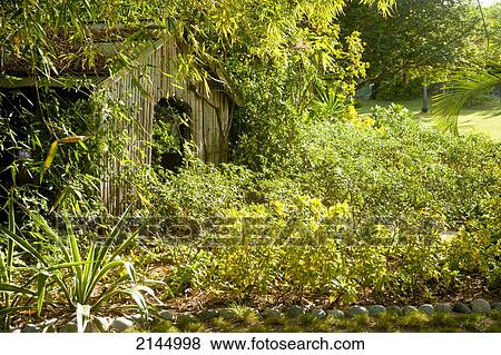 Bamboo Church In Mustique Island, St Vincent And The Grenadines, West Indies View Large Photo Image Stock Photo - Bamboo Church In Mustique Island, St Vincent And The Grenadines, West Indies. Fotosearch