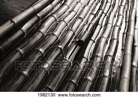 Stock Image - Bamboo stalks lined up soaking on surface of water (black and white photograph). Fotosearch