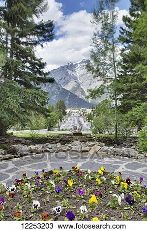 Banff National Park Administration Office looking towards town; Banff, Alberta, Canada View Large Photo Image Stock Image - Banff National Park Administration Office looking towards town; Banff, Alberta, Canada. Fotosearch