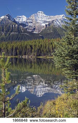 Banff National Park, Alberta, Canada; Reflection Of A Mountain In Herbert Lake View Large Photo Image Stock Photo - Banff National Park, Alberta, Canada; Reflection Of A Mountain In Herbert Lake. Fotosearch