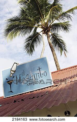 Bar, Las Terrenas, Dominican Republic View Large Photo Image Stock Image - Bar, Las Terrenas, Dominican Republic. Fotosearch