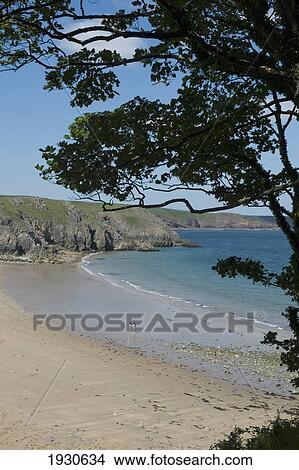 Barafundle Bay. One of the most beautiful beaches in Britain. Pembrokeshire. Wales. Cymru. UK. United Kingdom. View Large Photo Image Picture - Barafundle Bay. One of the most beautiful beaches in Britain. Pembrokeshire. Wales. Cymru. UK. United Kingdom.. Fotosearch