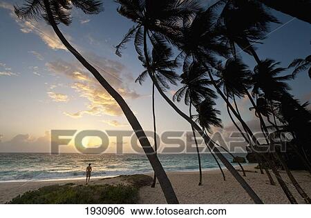 Barbados View Large Photo Image Stock Photograph - Barbados. Fotosearch