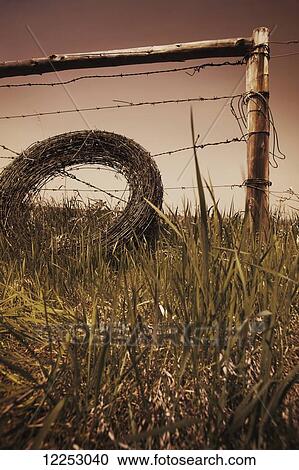 Stock Image - Barbed wire by fence; Alberta, Canada. Fotosearch