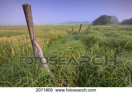 Barbed Wire Fence On Farmland, Central Alberta View Large Photo Image Stock Photography - Barbed Wire Fence On Farmland, Central Alberta. Fotosearch