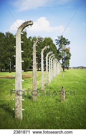 Barbed wire in Birkenau death camp; Osweciem, Poland View Large Photo Image Stock Image - Barbed wire in Birkenau death camp; Osweciem, Poland. Fotosearch