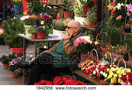 Barcelona, Catalonia, Spain; Outdoors Flower Seller View Large Photo Image Stock Photograph - Barcelona, Catalonia, Spain; Outdoors Flower Seller. Fotosearch