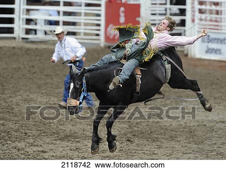 Stock Image - Bareback Bronc Riding At The Rodeo During The Calgary Stampede; Calgary Alberta Canada. Fotosearch