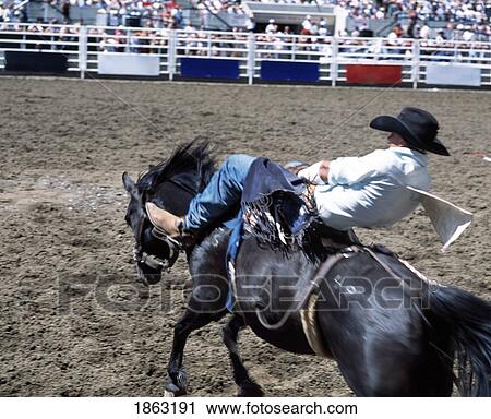 Stock Image - Bareback Rider, Calgary Stampede, Calgary, Alberta, Canada. Fotosearch