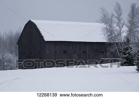 Barn roof and farmyard covered with snow in winter; Bromont, Quebec, Canada View Large Photo Image Stock Photo - Barn roof and farmyard covered with snow in winter; Bromont, Quebec, Canada. Fotosearch