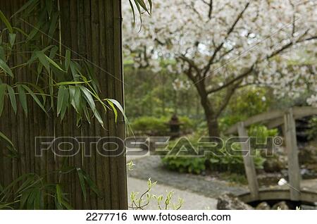 Stock Photograph - Barnsdale Gardens; Rutland, England. Fotosearch