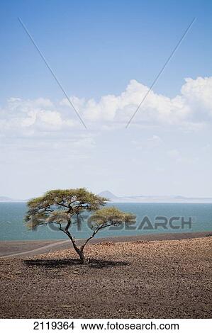 Picture - Barren scenery around Loyangalani on Lake Turkana; Kenya. Fotosearch