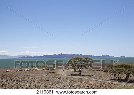 Stock Image - Barren scenery around Loyangalani on Lake Turkana; Kenya. Fotosearch