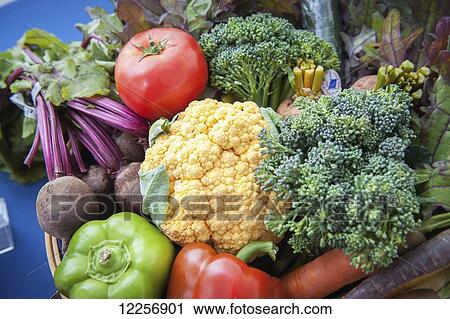 Stock Image - Basket of freshly harvested vegetables; Palmer, Alaska, United States of America. Fotosearch