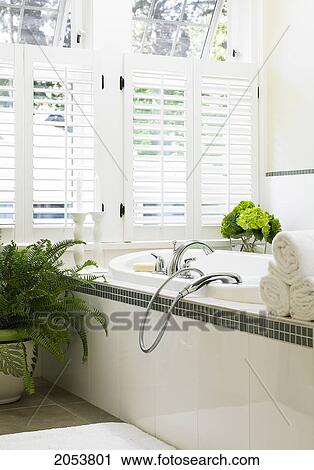Bathroom With Tub, Shutters, Fern And Hydrangea, Victoria, British Columbia View Large Photo Image Stock Image - Bathroom With Tub, Shutters, Fern And Hydrangea, Victoria, British Columbia. Fotosearch
