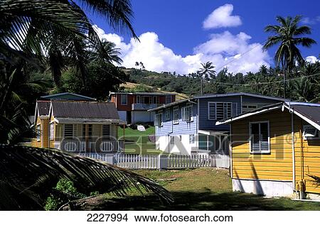 Picture - Bathsheba Atlantic Coast, Barbados. Fotosearch