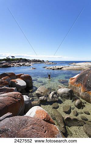Bay of Fires beach; Tasmania, Australia View Large Photo Image Stock Image - Bay of Fires beach; Tasmania, Australia. Fotosearch