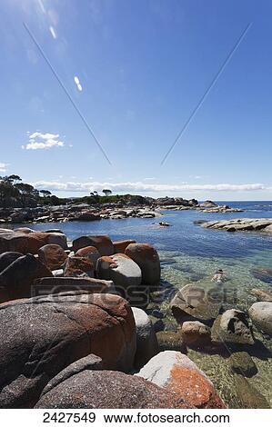 Bay of Fires beach; Tasmania, Australia View Large Photo Image Stock Photo - Bay of Fires beach; Tasmania, Australia. Fotosearch