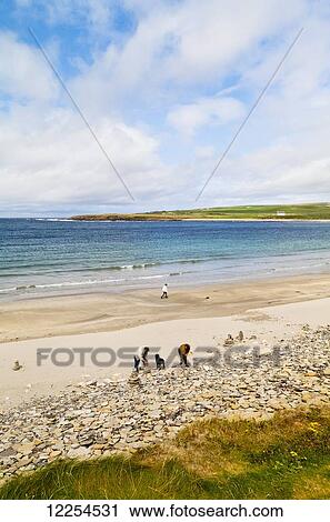 Stock Image - Bay of Skaill; Orkney, Scotland. Fotosearch