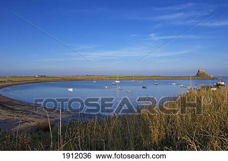 Stock Photograph - Bay With Lindesfarne Castle In Distance, Holy Island, Northumberland, Uk. Fotosearch